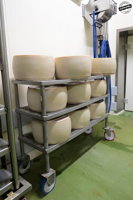 queijo parmesão Itália