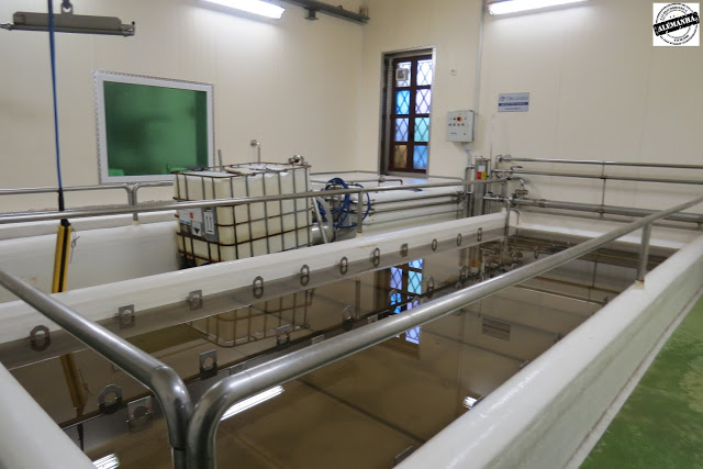 Visita à fábrica de Queijo Parmesão e Vinagre Balsâmico