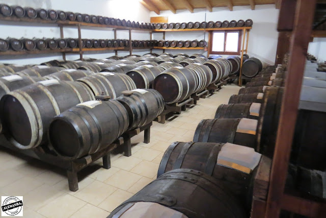 Visita à fábrica de Queijo Parmesão e Vinagre Balsâmico