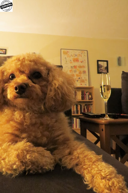 Natal na Alemanha 2015