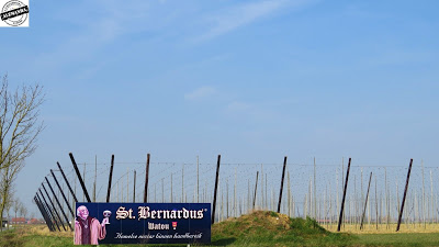 St. Bernardus