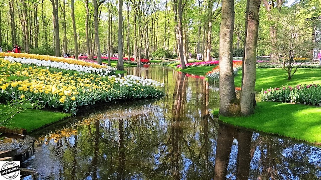 Keukenhof