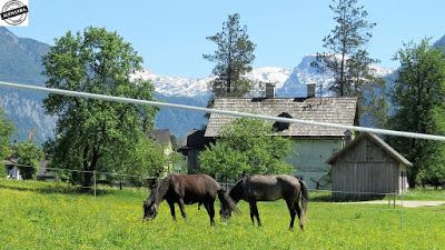 Onde ficar em Hallstatt