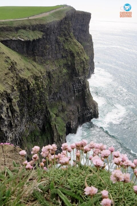 Cliffs of Moher