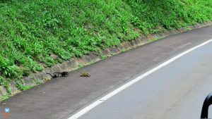 Parque Nacional do Iguaçu