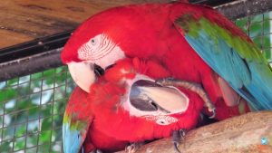 Como organizar sua viagem para Foz do Iguaçu 