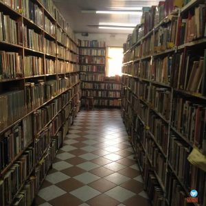 Melhores sebos de São Paulo