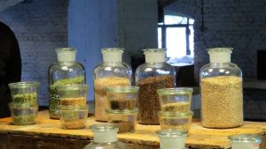 cervejaria Het Anker