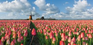 cidades perto de Amsterdam para conhecer num bate-volta