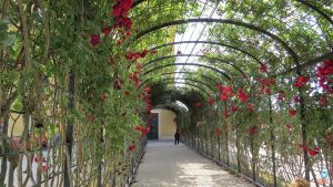 Roteiro de 2 dias em Viena