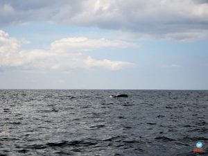 Roteiro de 9 dias em Portugal