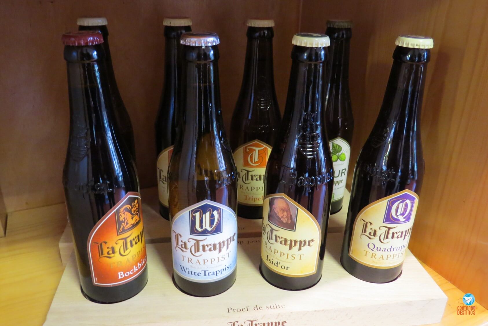 tour cervejeiro belgica holanda