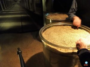 cervejaria Pilsner Urquell