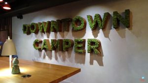 Hotel Downtown Camper