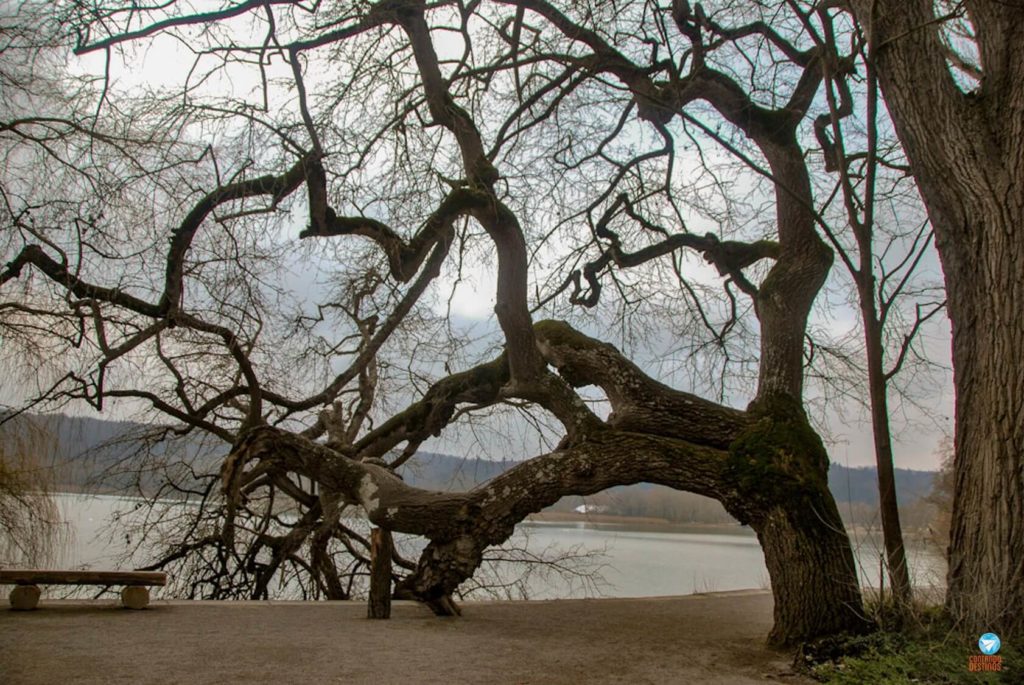 Mainau Bodensee Alemanha