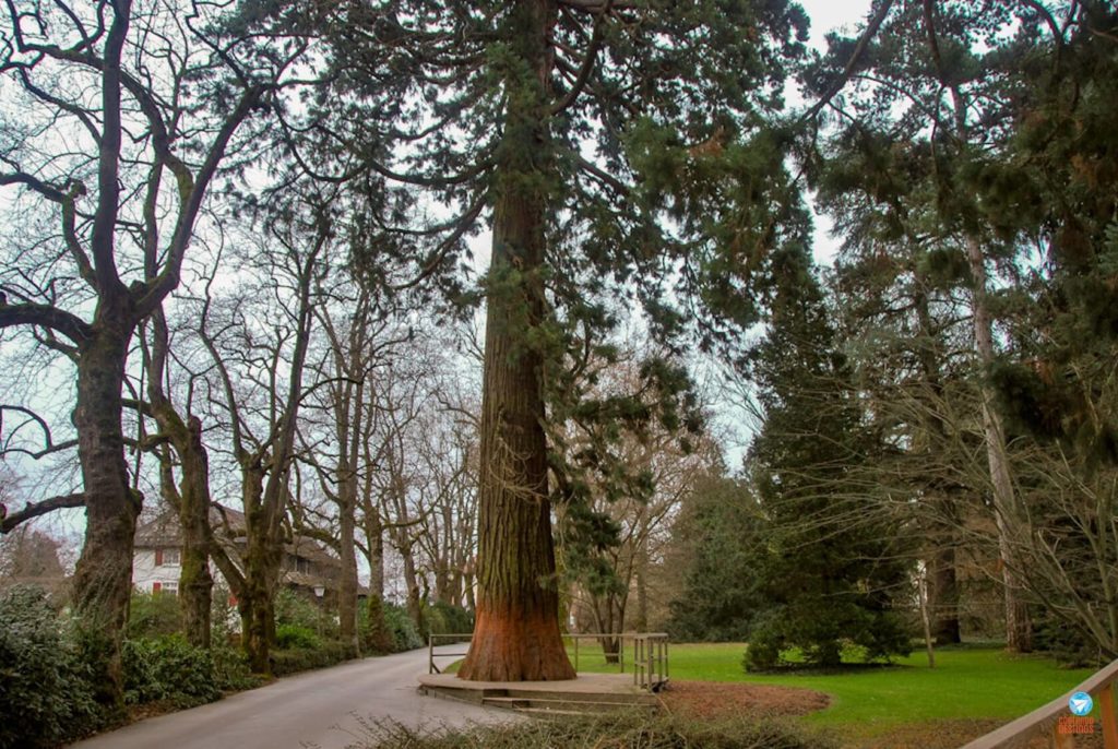 Mainau Lago de Constança