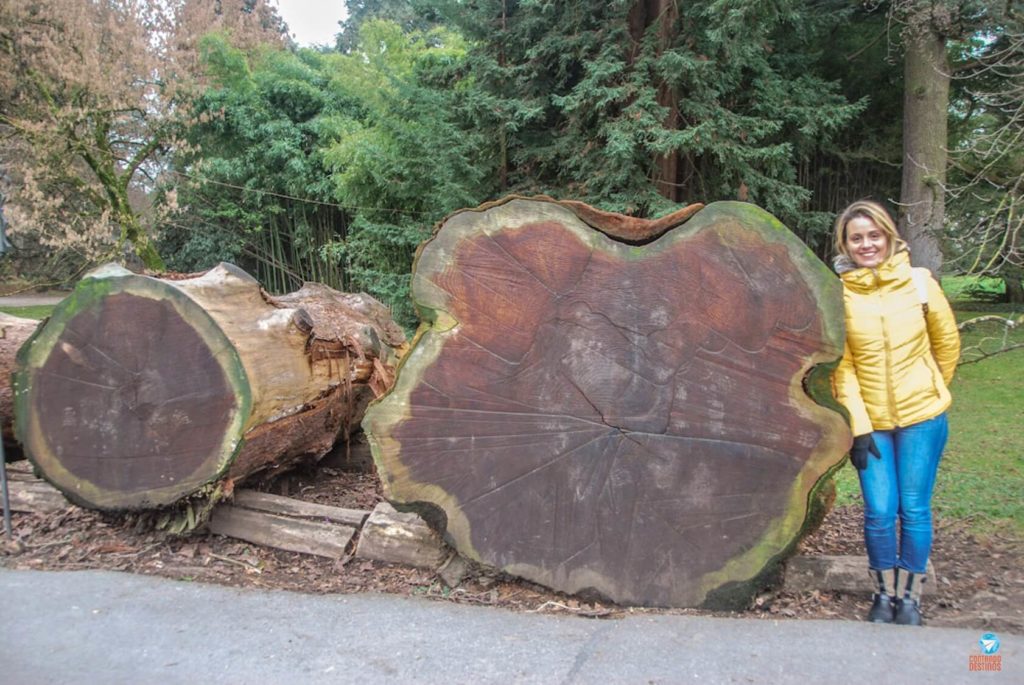 Mainau Lago de Constança