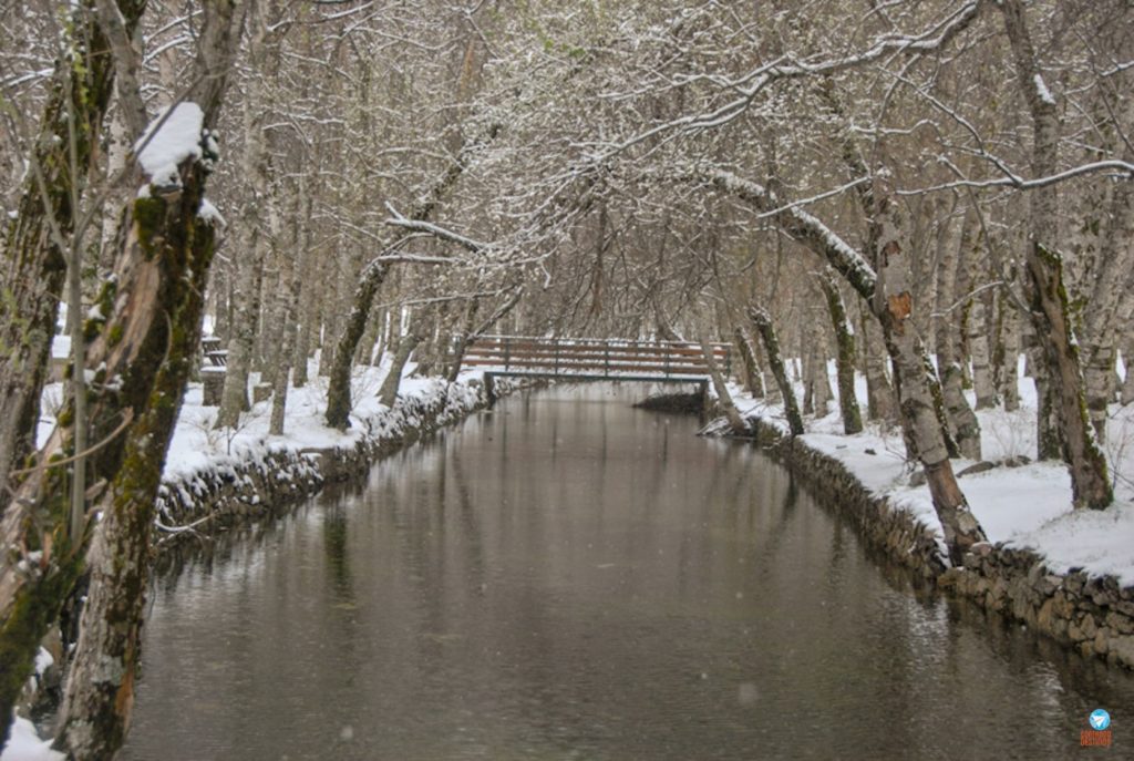 Serra da estrela