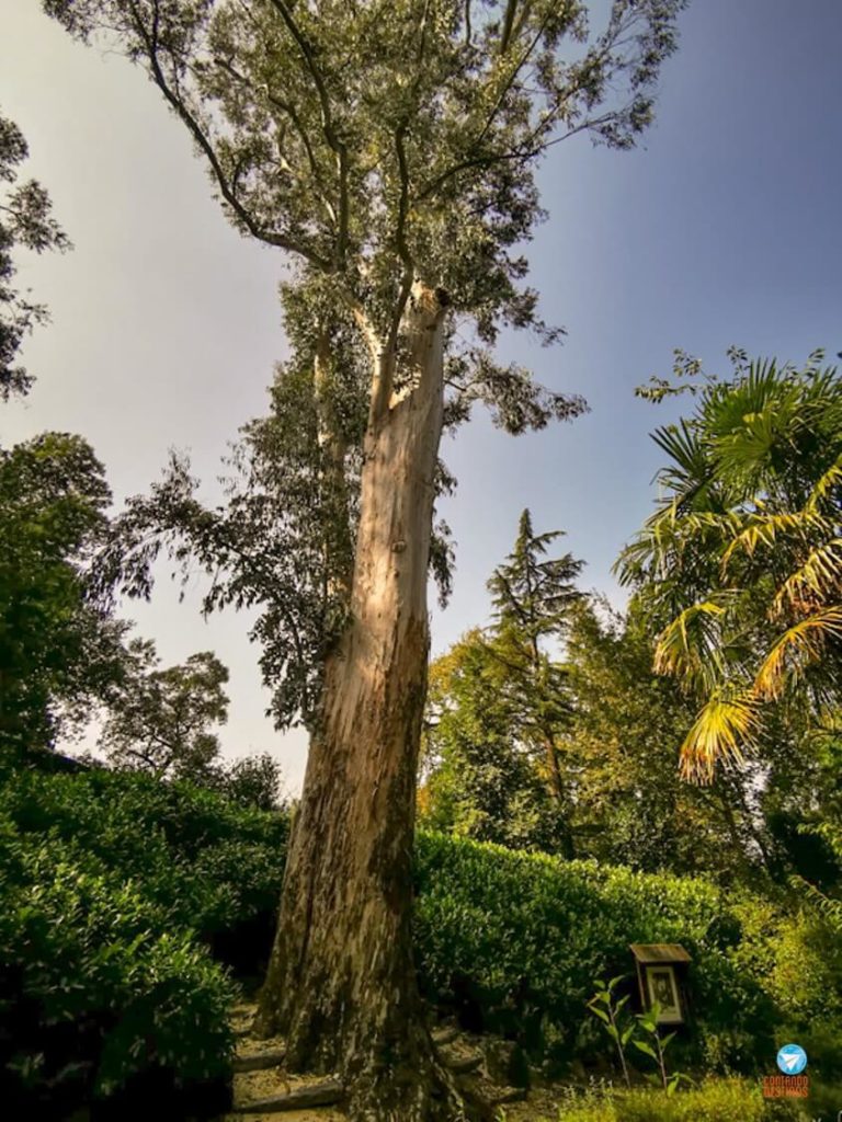 Jardins da Quinta da Aveleda em Portugal