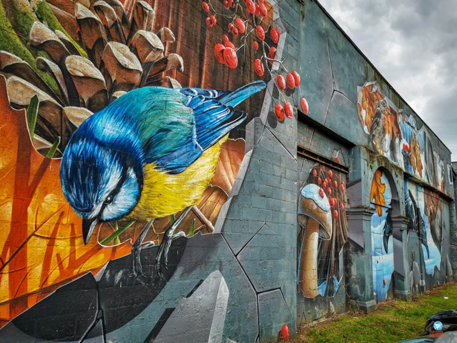 Grafite de Glasgow Escócia