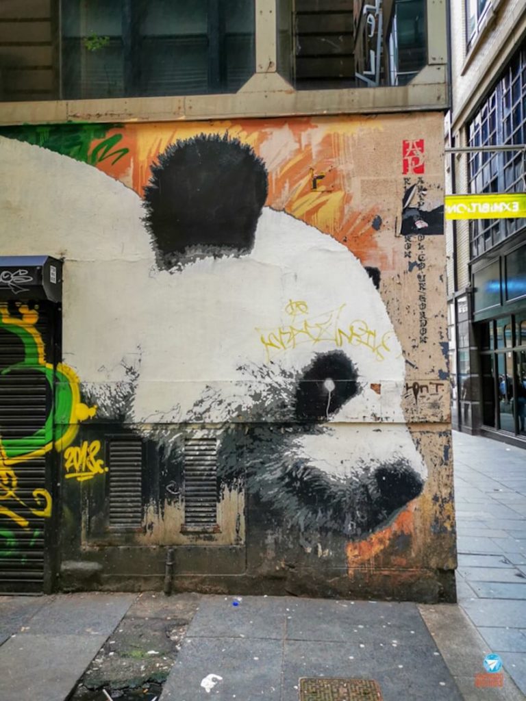 Panda de Glasgow - Grafites de Glasgow, Escócia