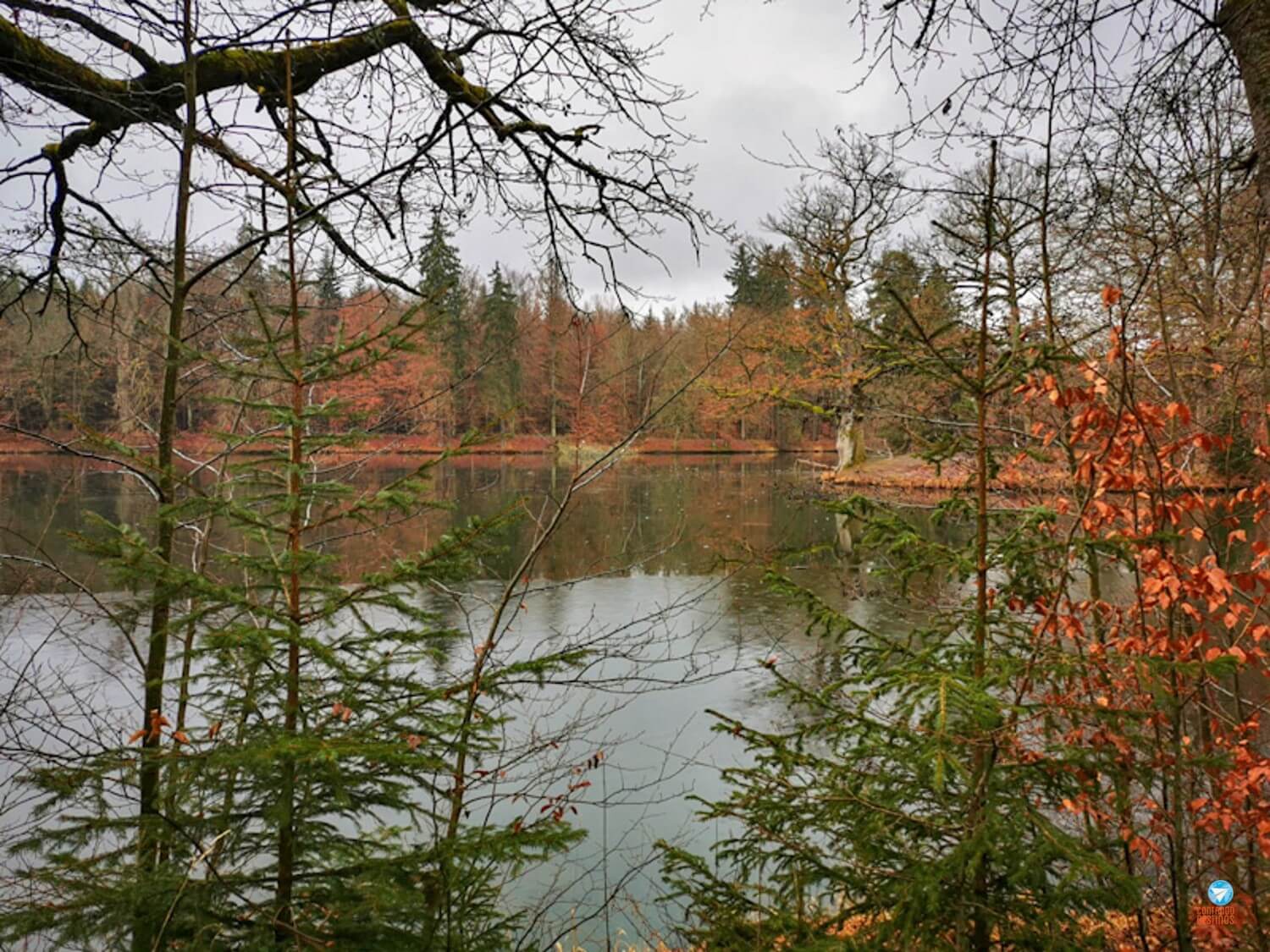 trilha-pfaffensee-alemanha