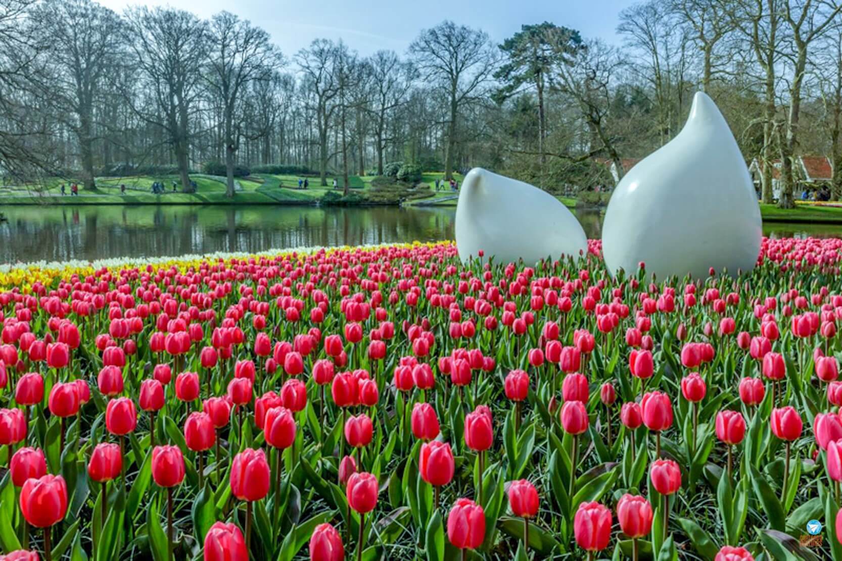 visitar Keukenhof na Holanda