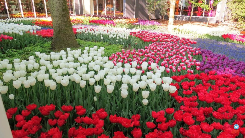 Onde ficar para visitar Keukenhof na Holanda