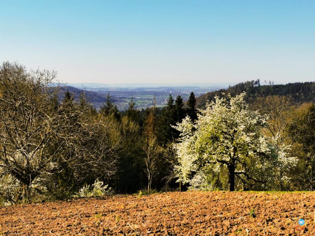 vista sul Alemanha