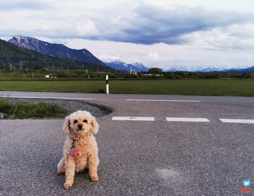 roteiro pela Alemanha e Áustria