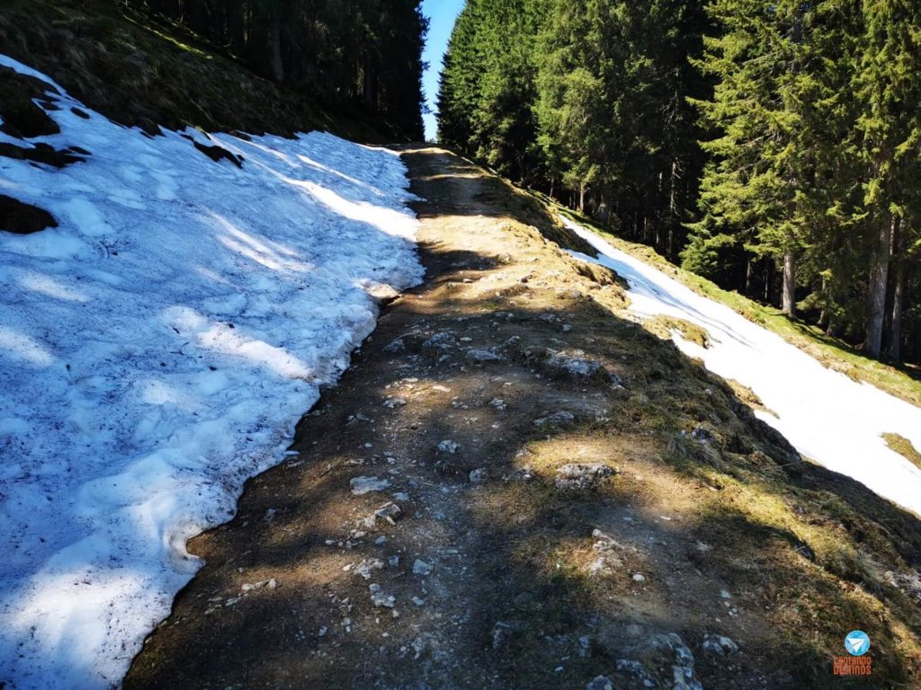 Neve nos alpes - Alemanha