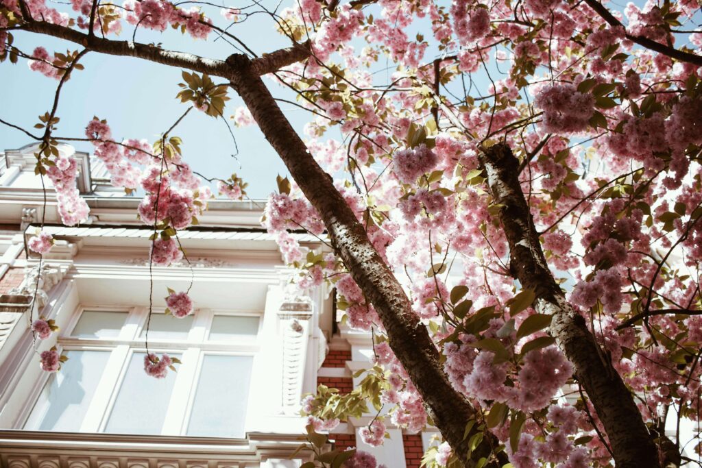 Alemanha na primavera